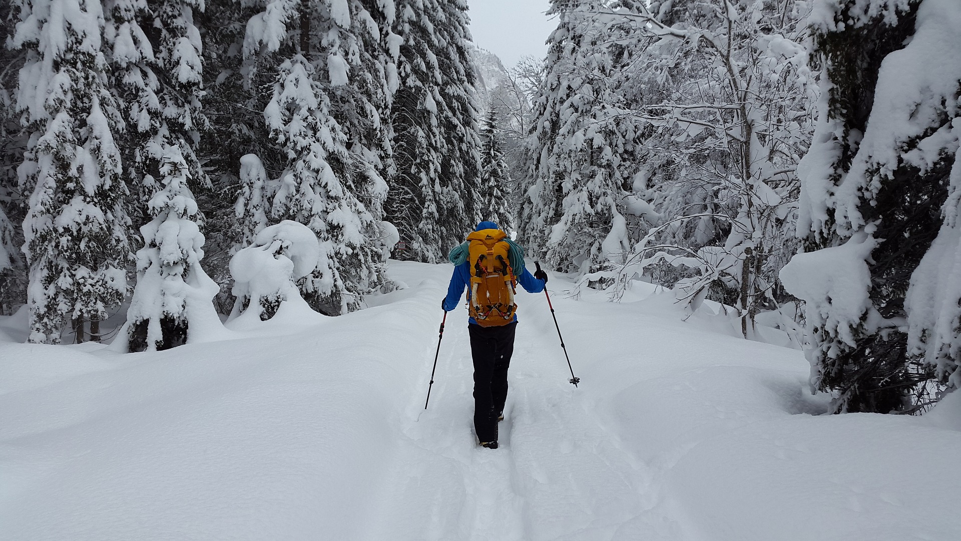 Entfliehe dem Alltag mit einer Wandertour im Winter